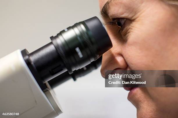 Scientist looks at cells through a fluorescent microscope at the laboratories at Cancer Research UK Cambridge Institute on December 9, 2014 in...