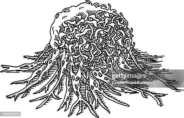 cancer cell tumor macro drawing - cancer cell white background stock illustrations