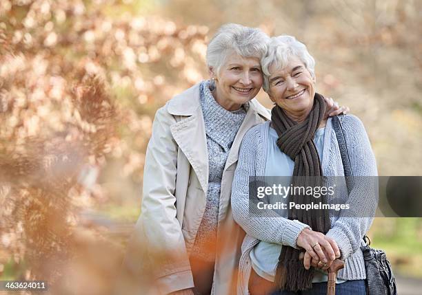 our friendship goes from strength to strength! - stick plant part stock pictures, royalty-free photos & images