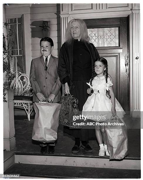R Lisa Cook FAMILY -