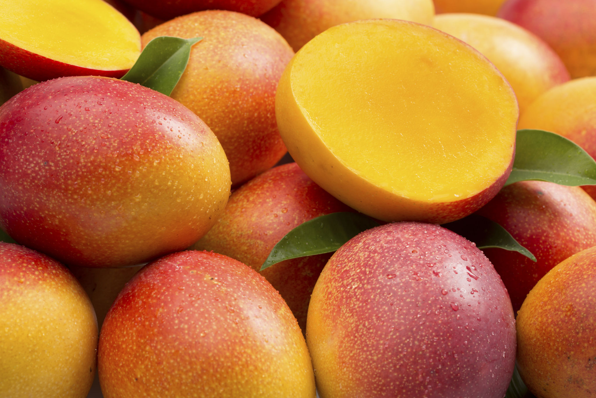global mango markets