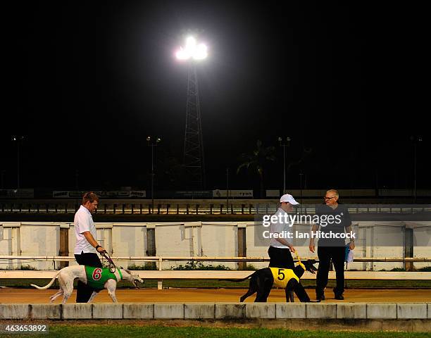 Dog handlers are seen walking greyhounds before the start of a race at the Townsville Showgrounds during a Greyhound Race meeting on February 17,...