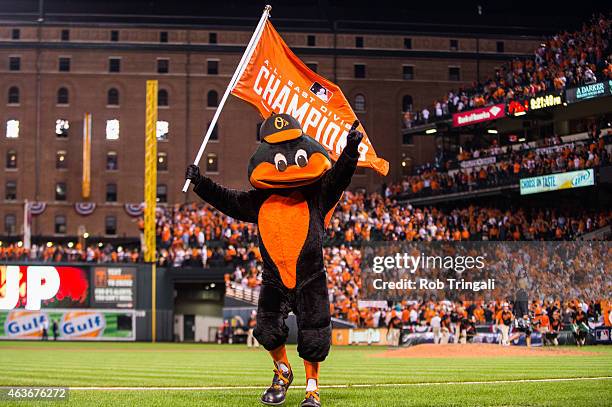 Baltimore Orioles mascot The Oriole Bird waves a flag after the Baltimore Orioles defeated the Detroit Tigers in Game 1 of the ALDS at Camden Yards...