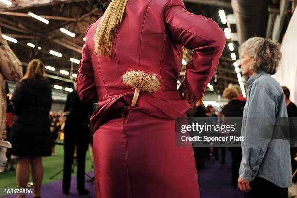 Woman carries her dog brush in her skirt at the Westminster Kennel Club Dog Show on February 17, 2015 in New York City. The show, which is in its...