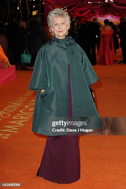 Diana Hardcastle attends The Royal Film Performance and World Premiere of "The Second Best Exotic Marigold Hotel" at Odeon Leicester Square on...