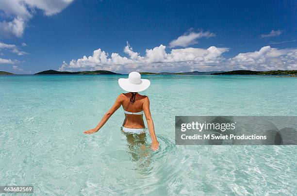 caribbean waters - wading - fotografias e filmes do acervo