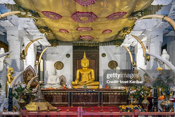 temple of the tooth relic of the buddha, kandy - dalada maligawa stock pictures, royalty-free photos & images