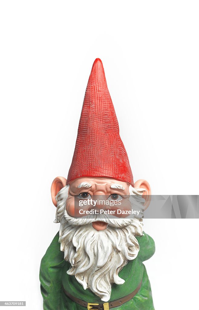 Close-up of gnome
