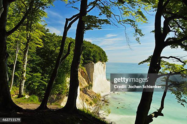 chalk cliffs, jasmund national park, ruegen island - rügen island chalk cliffs stockfoto's en -beelden