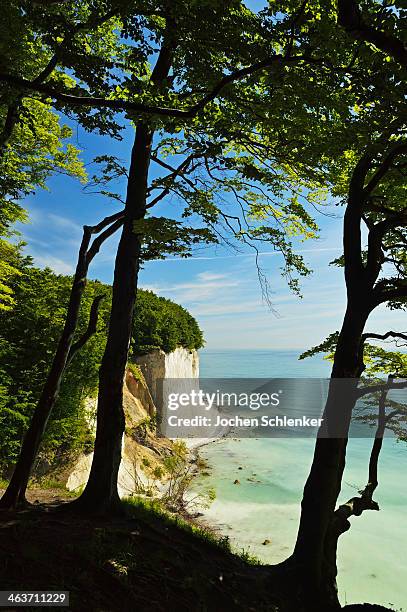 chalk cliffs, jasmund national park, ruegen island - rügen island chalk cliffs stockfoto's en -beelden