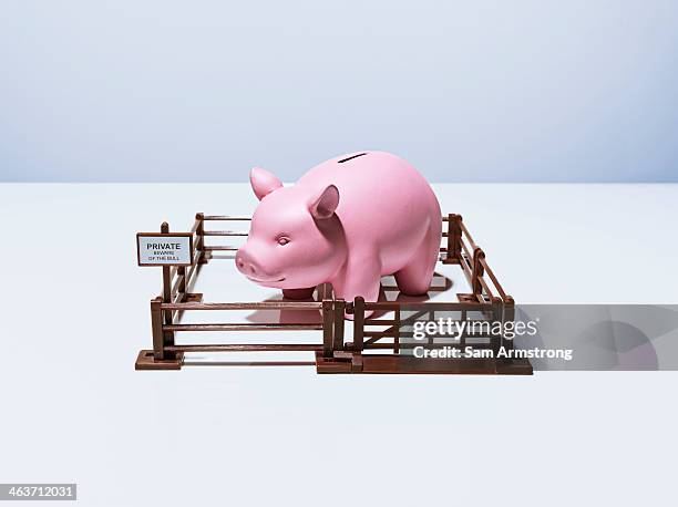 piggybank - capitalism stock pictures, royalty-free photos & images