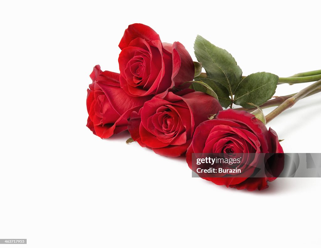 Red roses