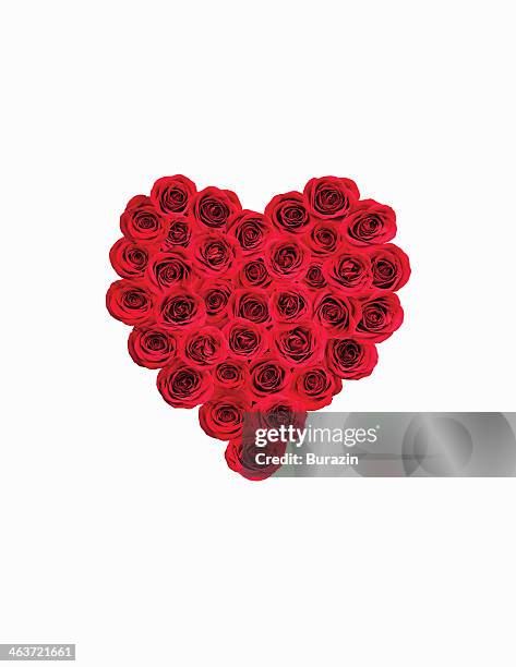 Heat Shape Roses 2,066 Roses Heart Shape Stock Photos, High-Res Pictures, and Images ...