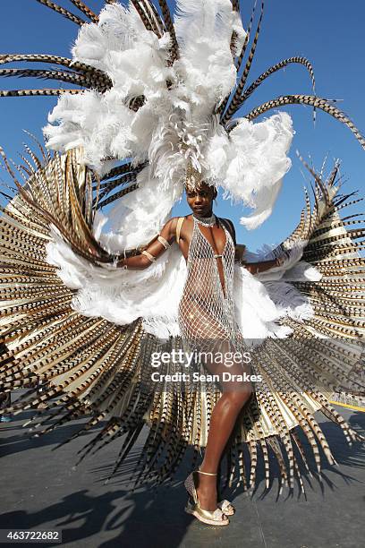 Masqueraders from the band 'Dominion of the Sun' by Harts perform in the Queen's Park Savannah during the Parade of Bands as part of Trinidad and...