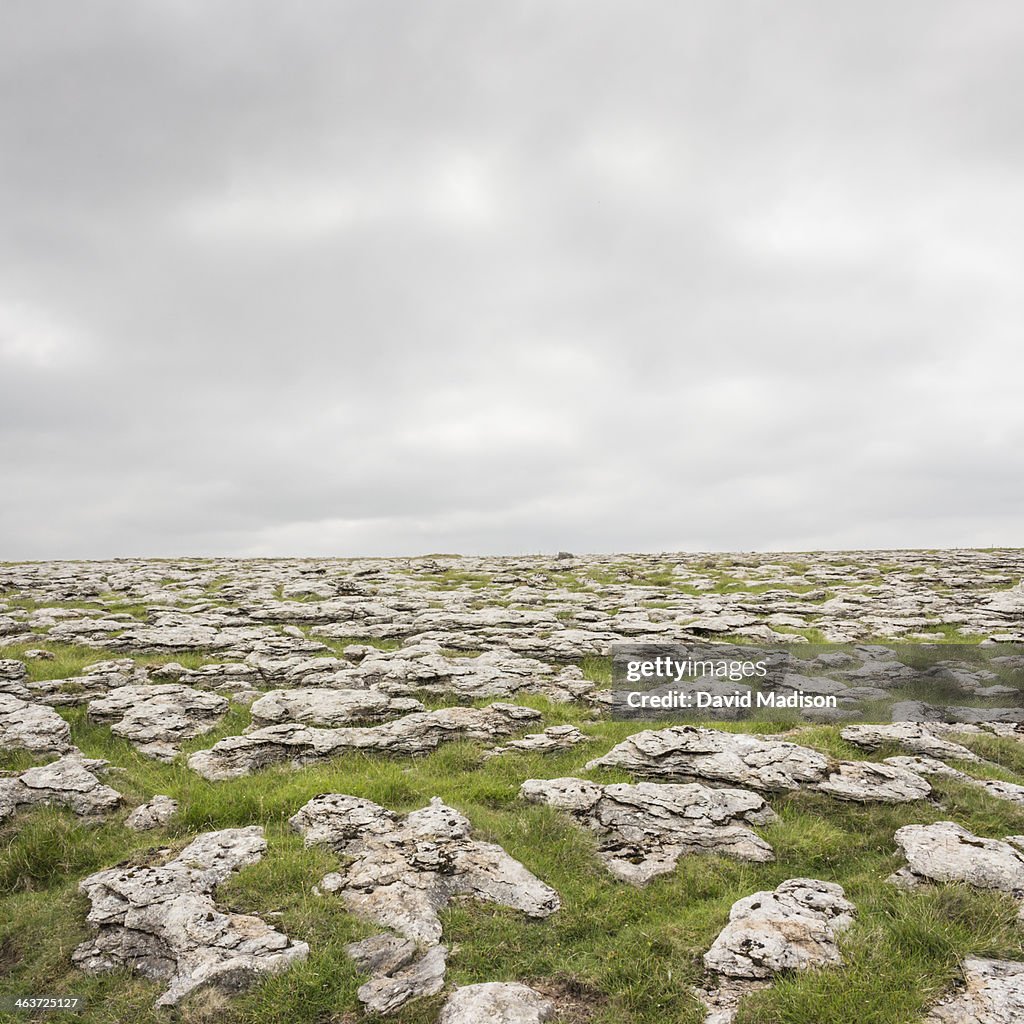 Limestone, Yorkshire Dales National Park.