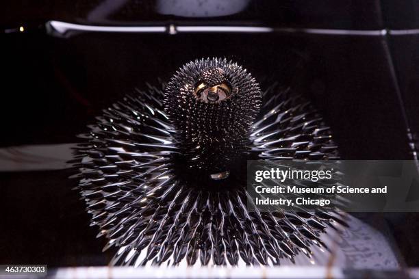 Spiked patterns in ferrofluid, a liquid invented by NASA in the 1960s for the Apollo program, are formed when a magnetic field is present, as seen in...