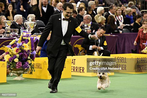 The 139th Annual Westminster Kennel Club Dog Show" at Madison Square Garden in New York City on Tuesday, February 17, 2014 -- Pictured: Dandie...