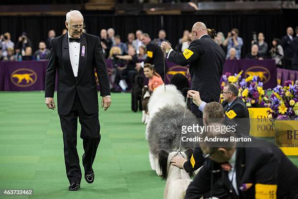 Judge David Merriam reviews the dogs in the Best in Show category of the Westminster Kennel Club dog show on February 17, 2015 in New York City. The...