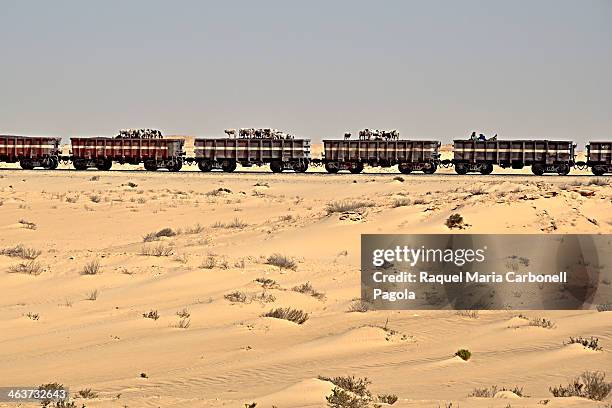 The world's longest train carrying iron ore and improvised passengers.