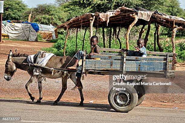 Children in a donkey cart saying hello.