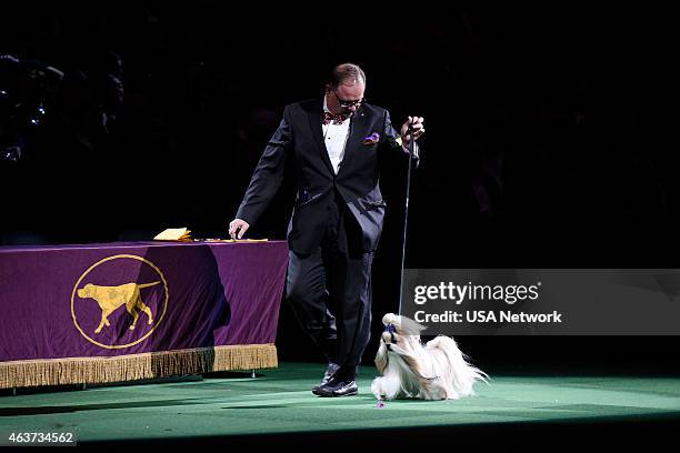 The 139th Annual Westminster Kennel Club Dog Show" at Madison Square Garden in New York City on Tuesday, February 17, 2014 -- Pictured: Rocket the...