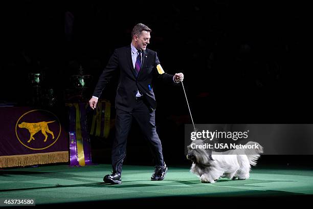 The 139th Annual Westminster Kennel Club Dog Show" at Madison Square Garden in New York City on Tuesday, February 17, 2014 -- Pictured: Good Time...