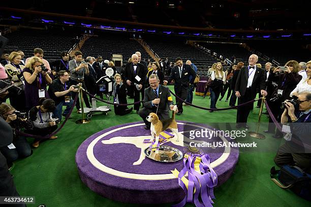 The 139th Annual Westminster Kennel Club Dog Show" at Madison Square Garden in New York City on Tuesday, February 17, 2014 -- Pictured: Best in Show,...