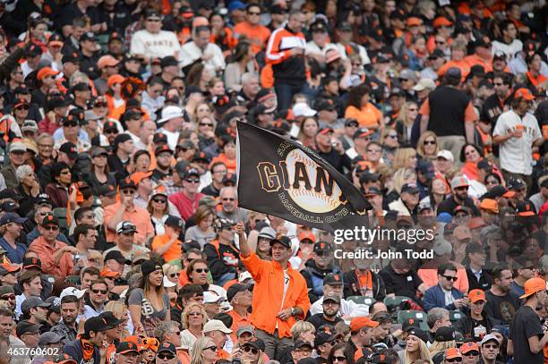 San Francisco Giants fan waves a flag during Game 3 of the NLCS against the St. Louis Cardinals at AT&T Park on Tuesday, October 14, 2014 in San...