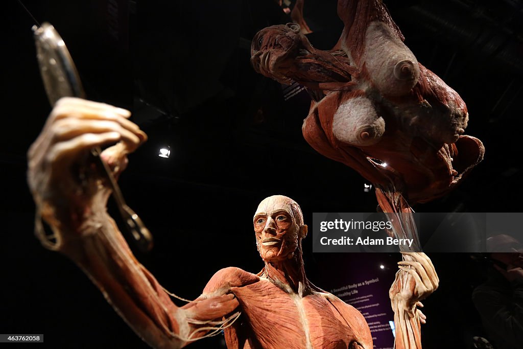 Body Worlds Exhibition Opens In Berlin