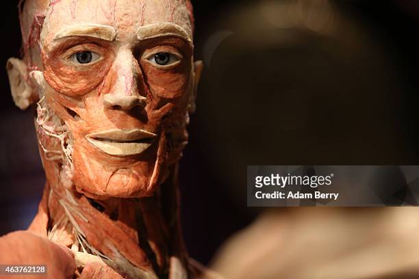Plastinated corpse looks into a mirror on the opening day of the Bodyworlds exhibition in the Menschen Museum on February 18, 2015 in Berlin,...