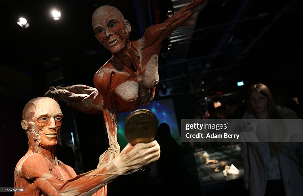 Body Worlds Exhibition Opens In Berlin