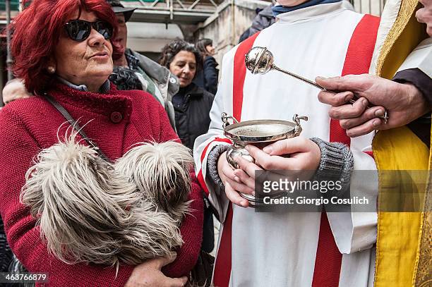 Priest blesses a dog after a traditional mass for the blessing of animals at the Sant'Eusebio church on January 19, 2014 in Rome, Italy. Every year...