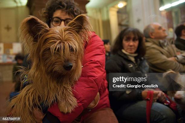 Dog and its owner attend a traditional mass for the blessing of animals at the Sant'Eusebio church on January 19, 2014 in Rome, Italy. Every year...