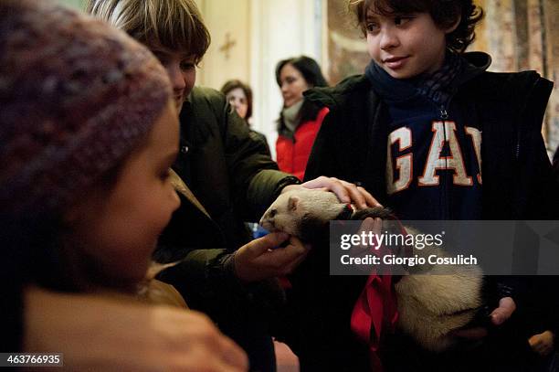 Children stroke a ferret as he attends with its owner a traditional mass for the blessing of animals at the Sant'Eusebio church on January 19, 2014...