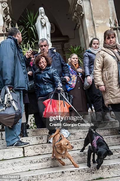 Dogs and their owners exit after a traditional mass for the blessing of animals at the Sant'Eusebio church on January 19, 2014 in Rome, Italy. Every...