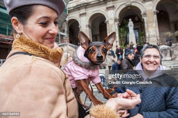 Dog and its owner arrive to attend a traditional mass for the blessing of animals at the Sant'Eusebio church on January 19, 2014 in Rome, Italy....