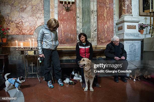 Dogs and their owners attend a traditional mass for the blessing of animals at the Sant'Eusebio church on January 19, 2014 in Rome, Italy. Every year...