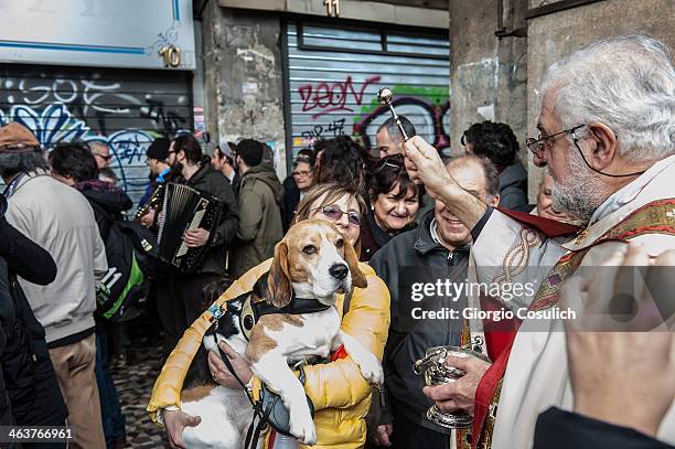 Priest blesses a dog after a traditional mass for the blessing of animals at the Sant'Eusebio church on January 19, 2014 in Rome, Italy. Every year...