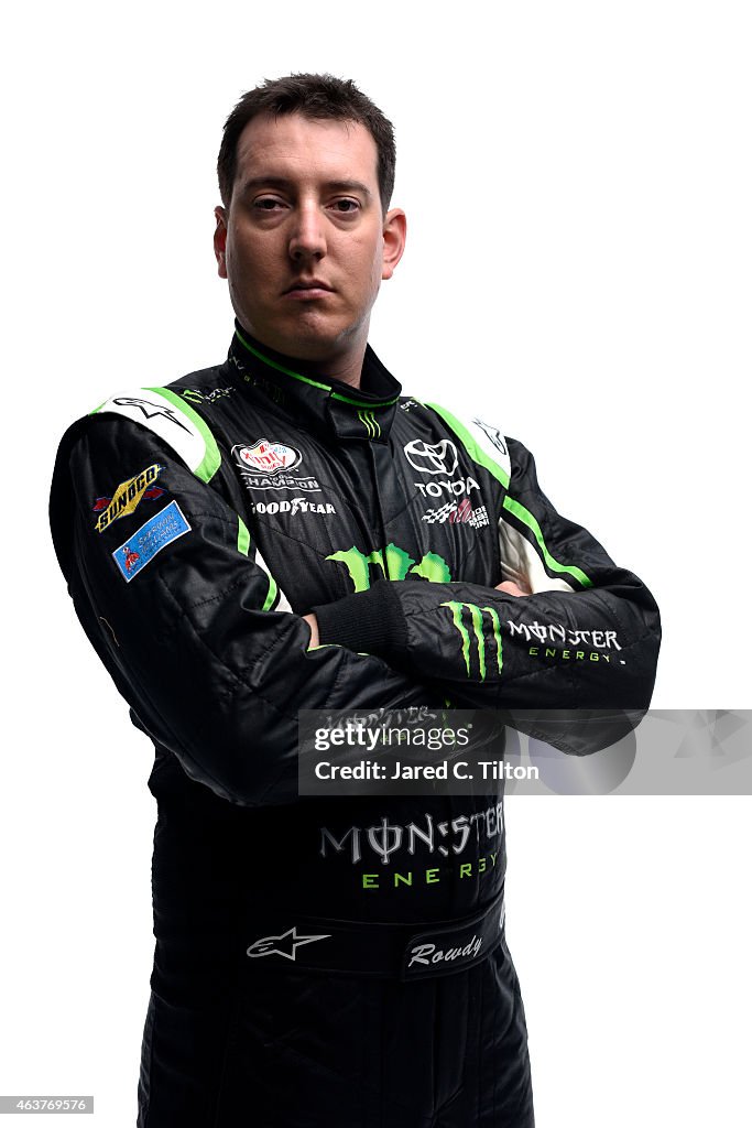 2015 NASCAR Sprint Cup Series Stylized Portraits