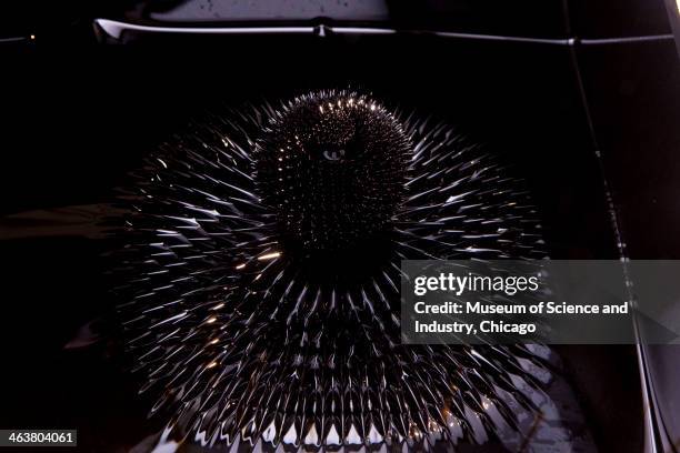 Spiked patterns in ferrofluid, a liquid invented by NASA in the 1960s for the Apollo program, are formed when a magnetic field is present, as seen in...