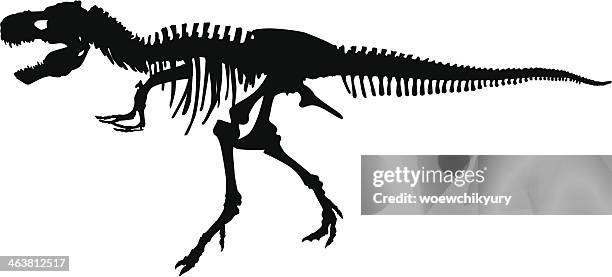 stockillustraties, clipart, cartoons en iconen met dinosaur skeleton vector silhouette - dinosaur skeleton