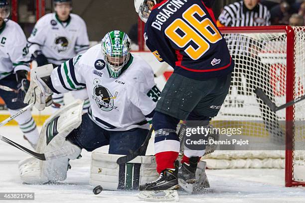 Goaltender Alex Nedeljkovic of the Plymouth Whalers battles for the puck against forward Cristiano DiGiacinto of the Windsor Spitfires on February...