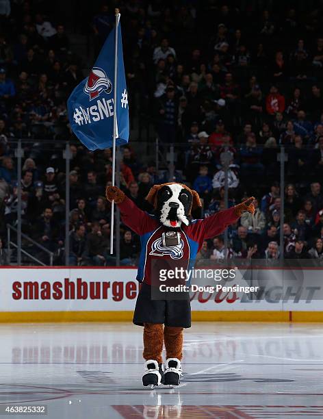 Bernie the mascot of the Colorado Avalanche takes the ice prior to facing the Los Angeles Kings at Pepsi Center on February 18, 2015 in Denver,...