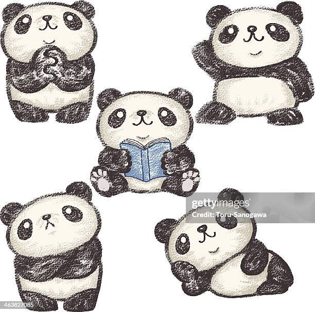 116 Smart Panda Stock Photos, High-Res Pictures, and Images