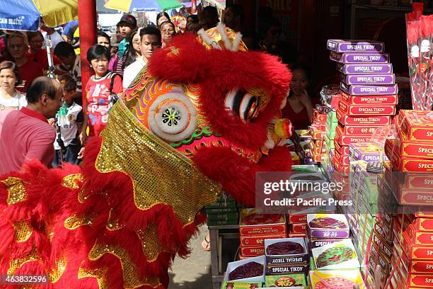 Lion dancers getting the ampaw envelope in front the Tikoy in Binondo St. In the City of Manila. The year of 2015 is year of the wooden sheep base on...