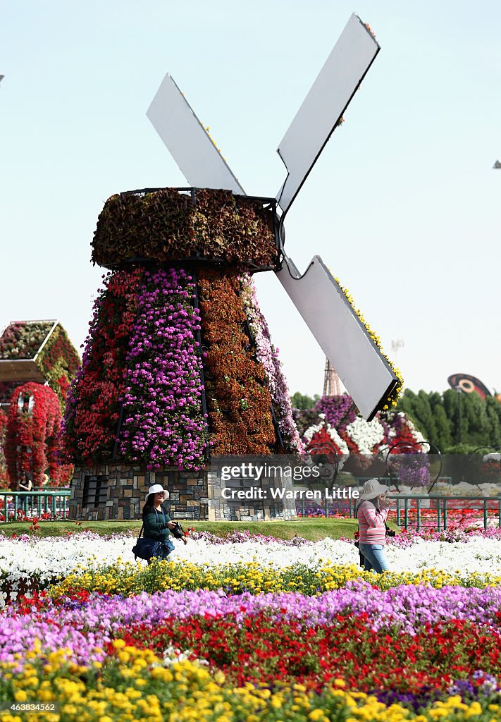 General Views of Miracle Gardens in Dubai