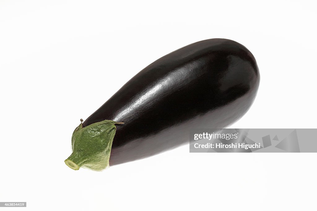 Aubergine