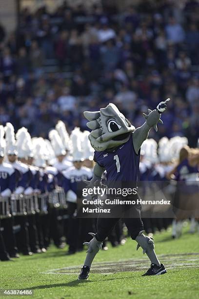 Mascot Super Frog on field during game vs Iowa State at Amon G. Carter Stadium. Fort Worth, TX 12/6/2014 CREDIT: Guillermo Hernandez Martinez