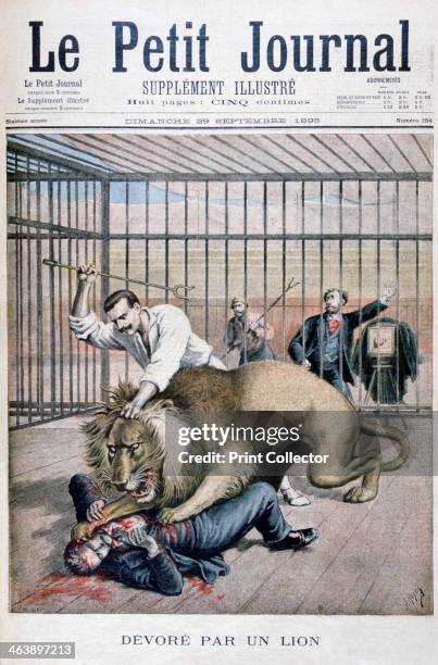 Lion attack, 1895. An illustration from Le Petit Journal, 29th September 1895.