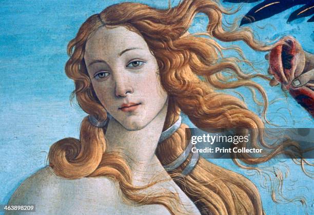 'The Birth of Venus' , c1485. From the collection of the Galleria degli Uffizi, Florence, Italy.